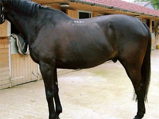 George after treatment
