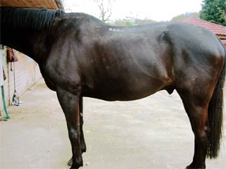 George before treatment