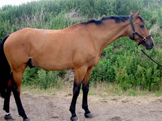 Jazz after treatment