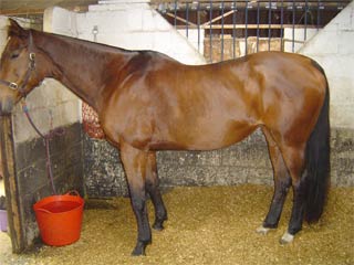 Muesli before treatment