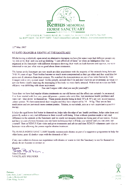 Remus testimonial letter